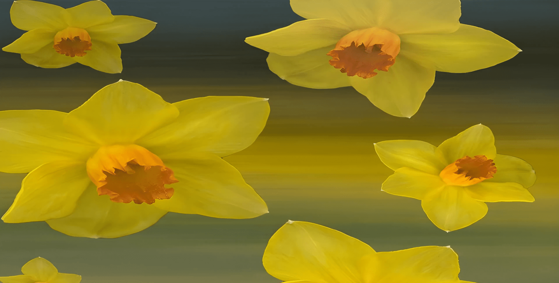 Imaginature™ In Motion